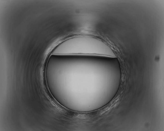 X0000100780341200806191022