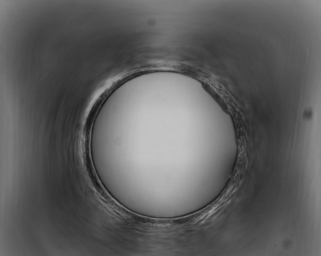 X0000100780342200806191022