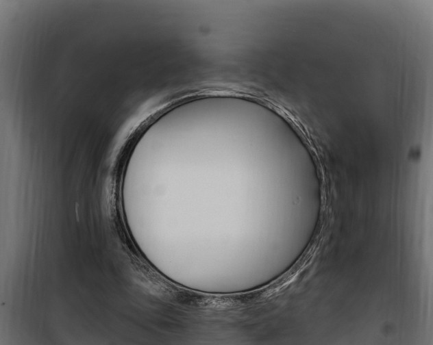 X0000100780343200806191022