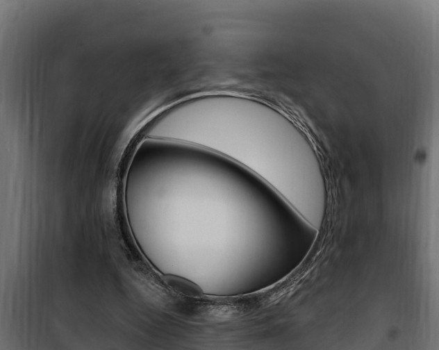 X0000100780344200806191022