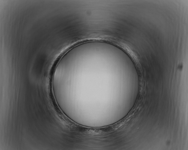 X0000100780346200806191022