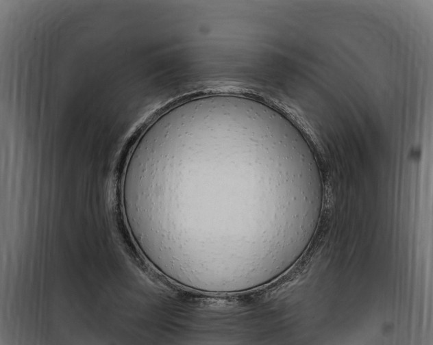 X0000100780347200806191022