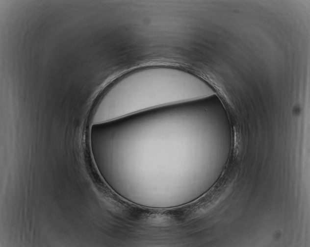 X0000100780348200806191022