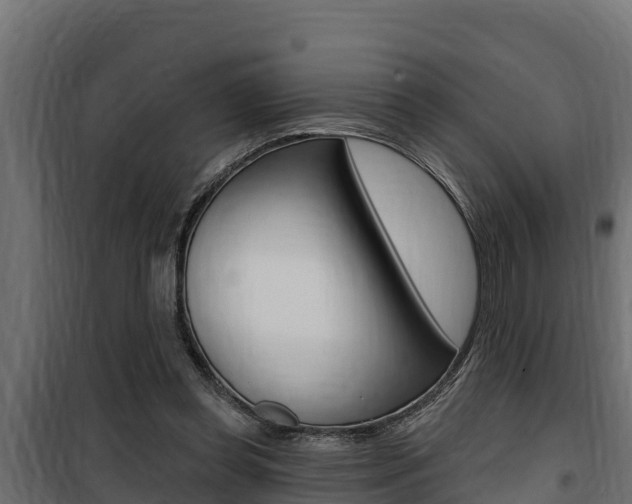 X0000100780349200806191022