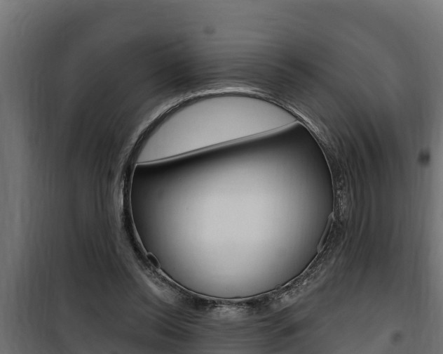 X0000100780350200806191022