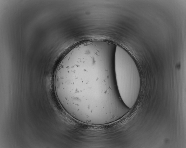 X0000100780351200806191022