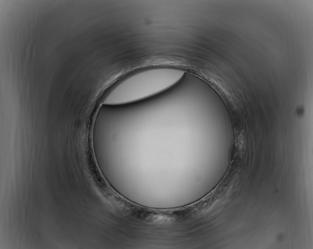 X0000100780352200806191022