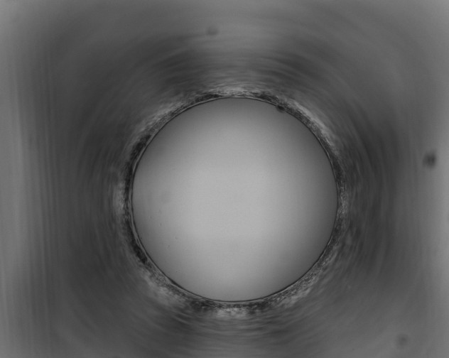 X0000100780353200806191022