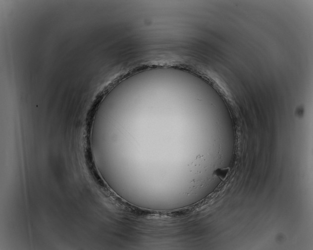 X0000100780354200806191022