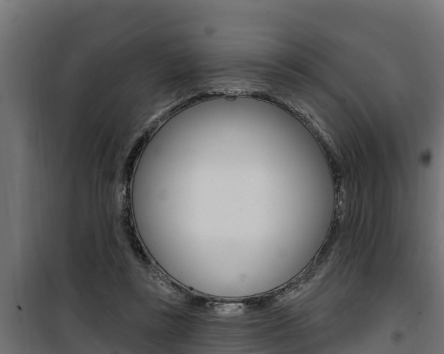 X0000100780355200806191022