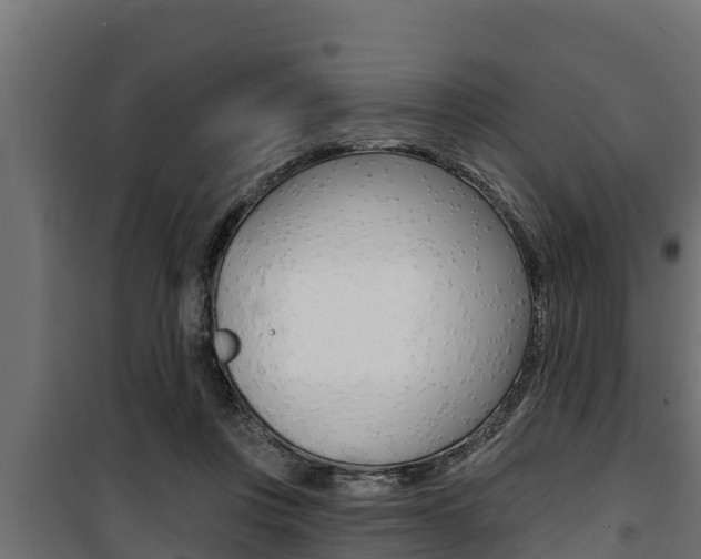 X0000100780359200806191022