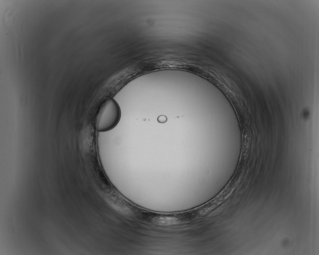 X0000100780361200806191022