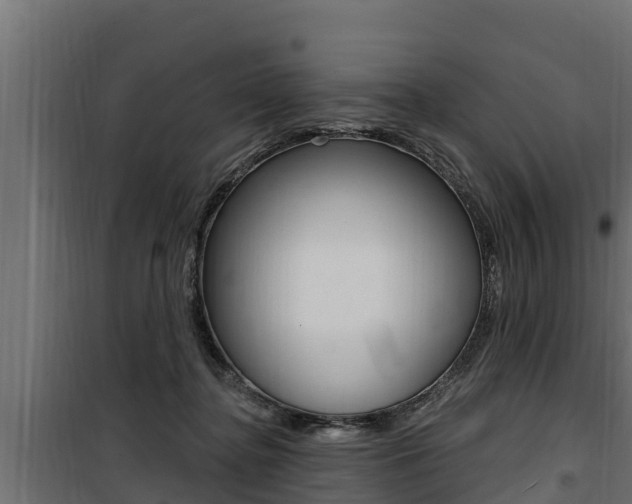 X0000100780364200806191022