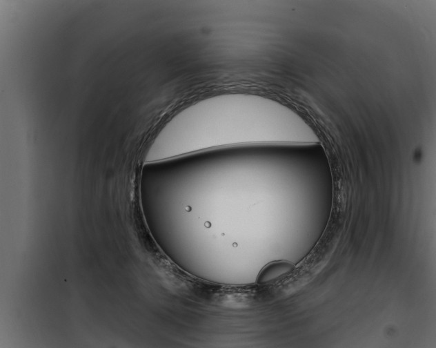 X0000100780368200806191022