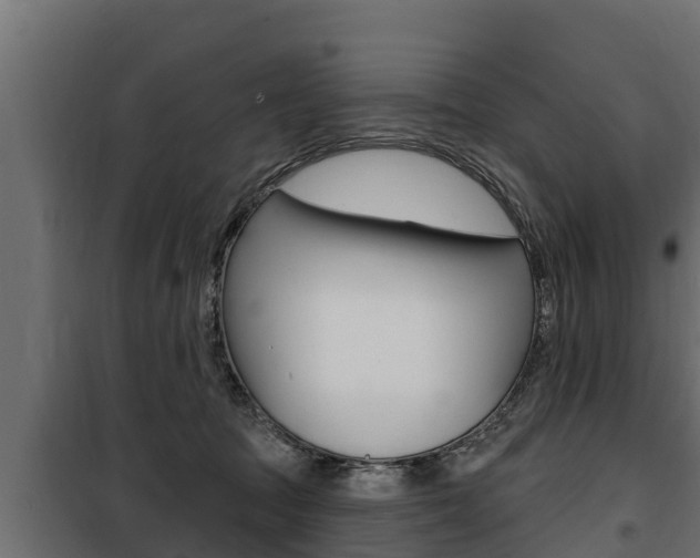 X0000100780369200806191022