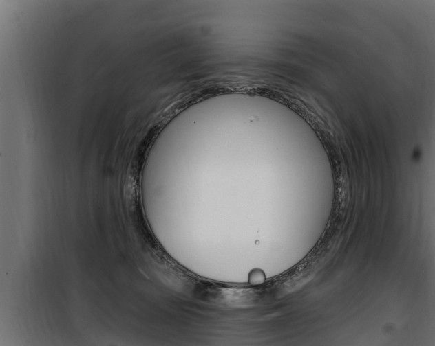 X0000100780371200806191022