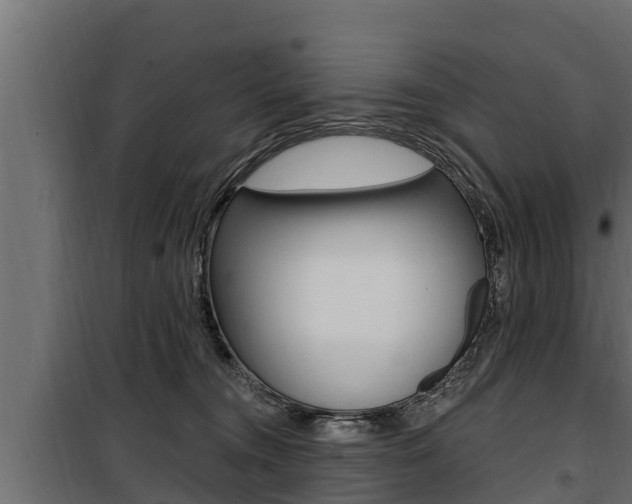 X0000100780372200806191022