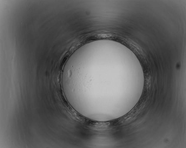 X0000100780373200806191022