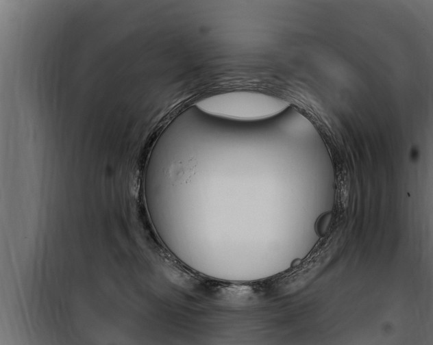 X0000100780374200806191022