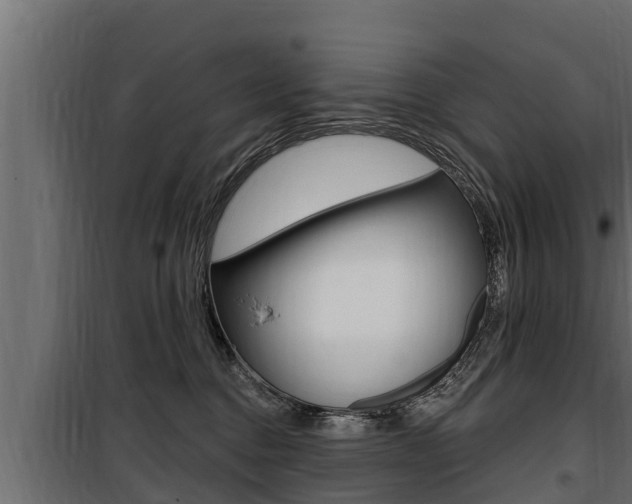 X0000100780376200806191022