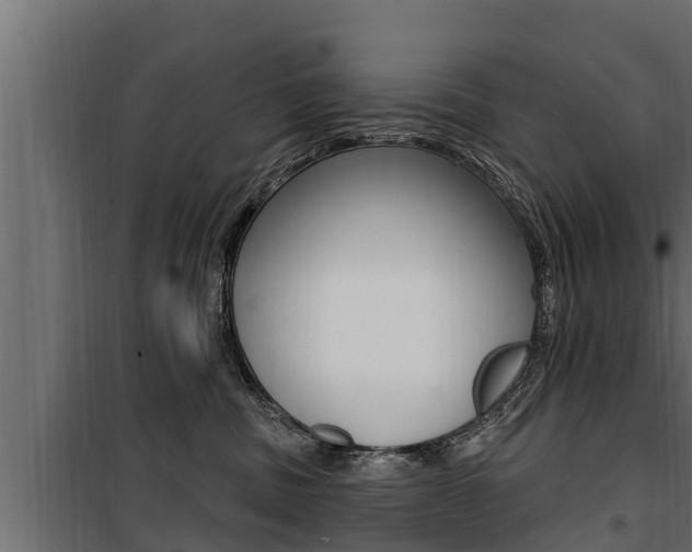 X0000100780379200806191023