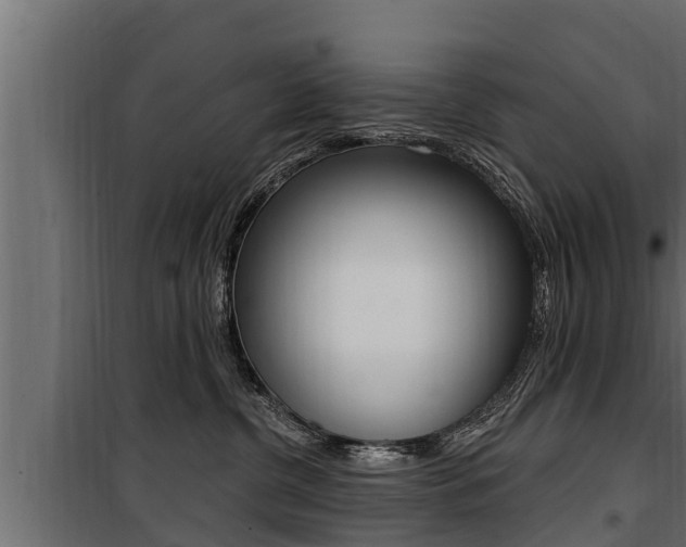 X0000100780380200806191023