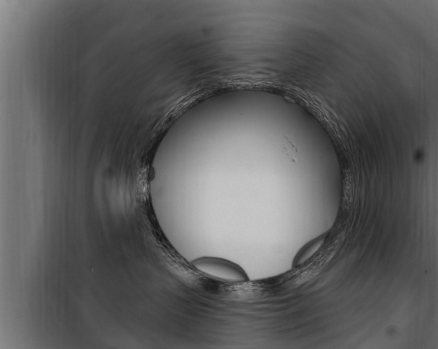 X0000100780383200806191023