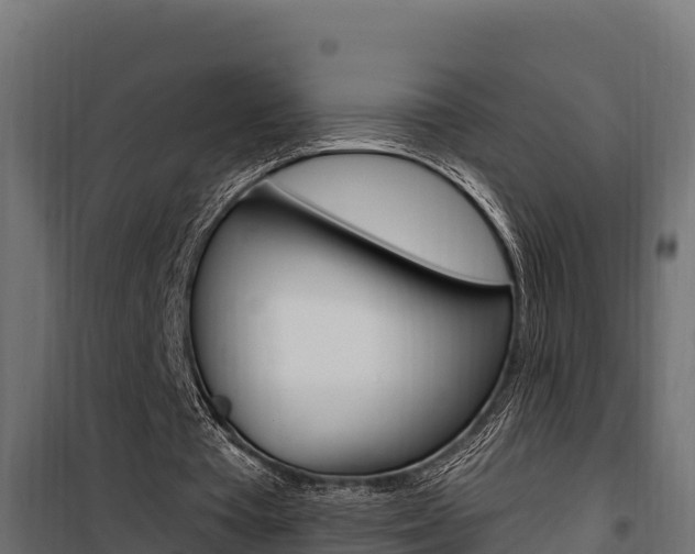 X0000100780385200806191022