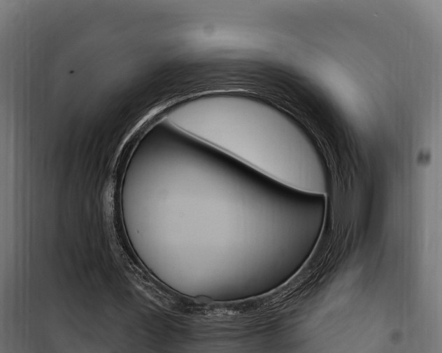 X0000100780387200806191022