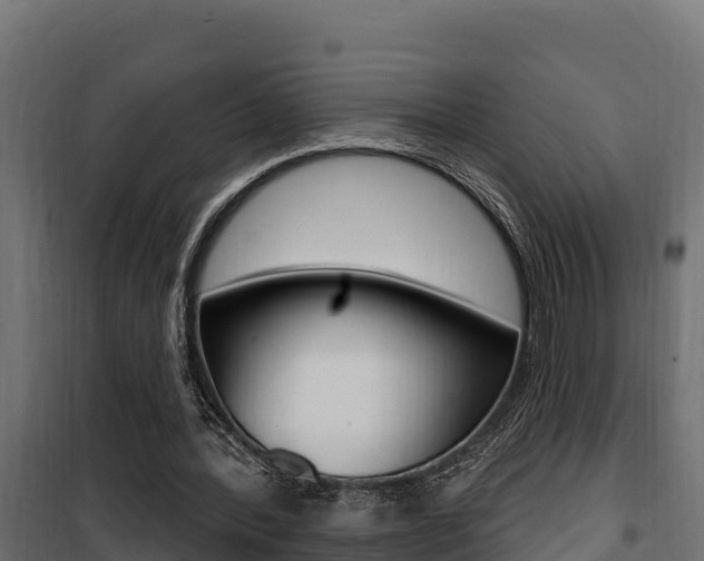 X0000100780388200806191022