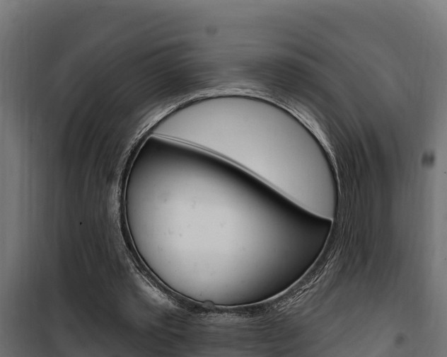 X0000100780389200806191022