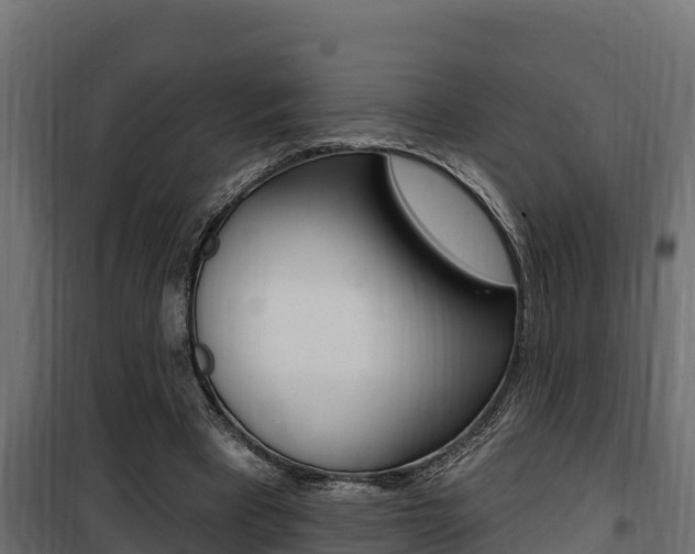 X0000100780393200806191022