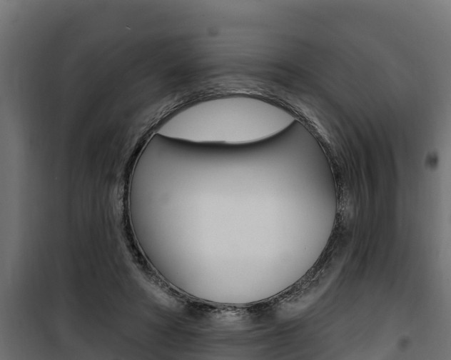 X0000100780402200806191022