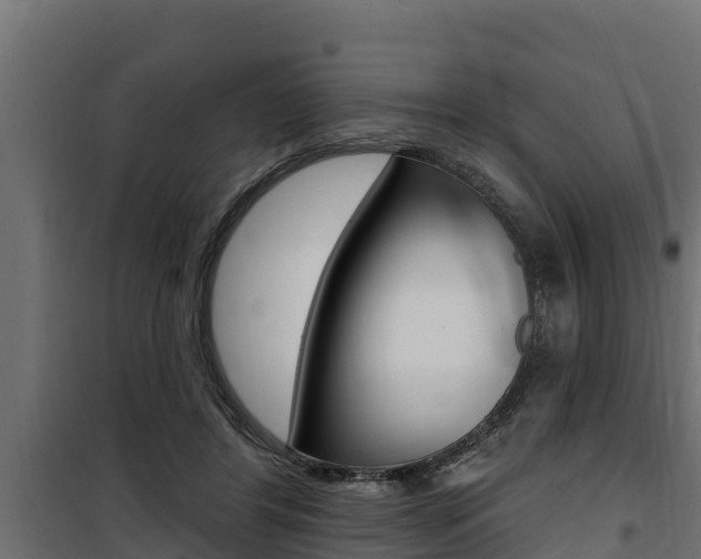 X0000100780404200806191021