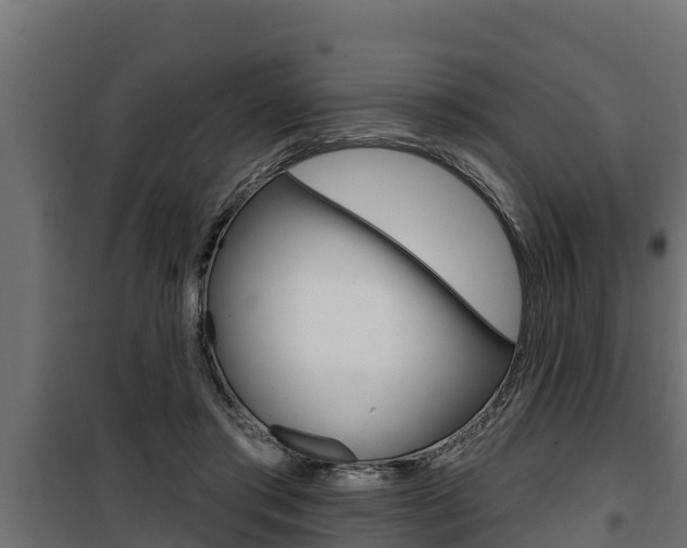 X0000100780405200806191021