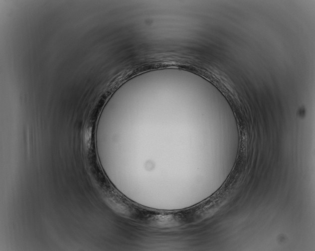 X0000100780406200806191021