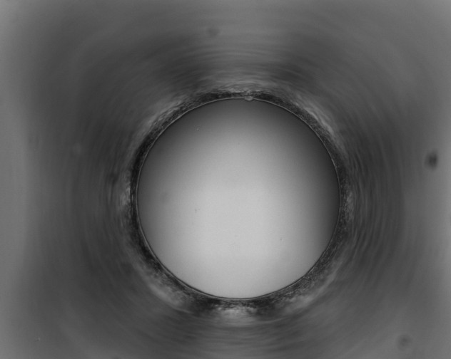 X0000100780407200806191021