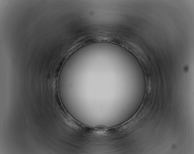 X0000100780409200806191021