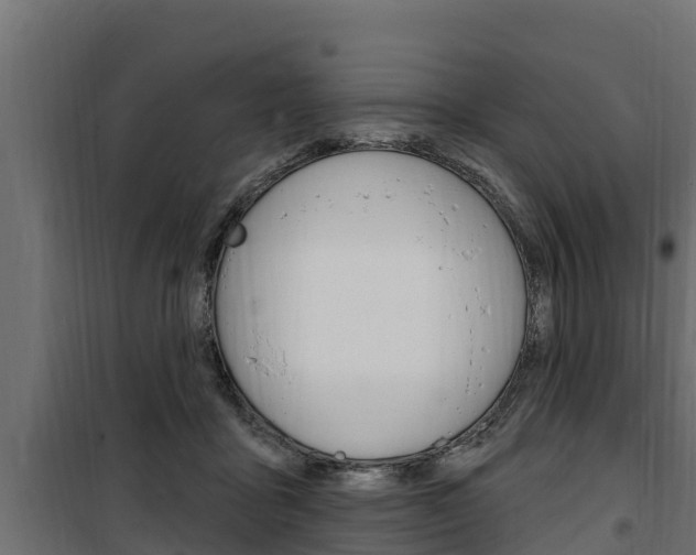 X0000100780411200806191021