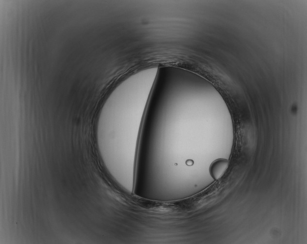 X0000100780412200806191021