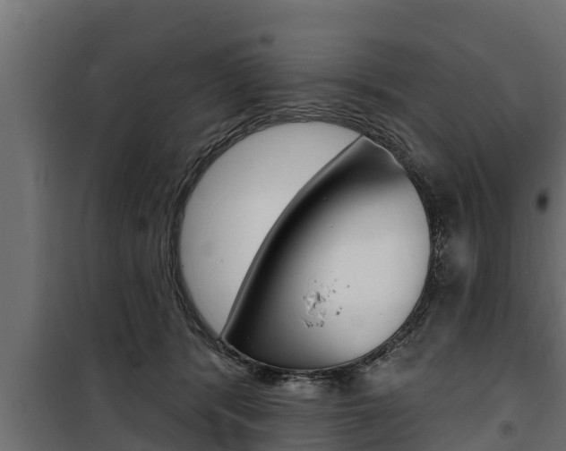 X0000100780416200806191021