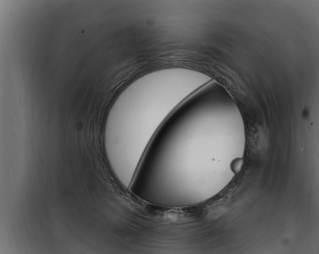 X0000100780420200806191021