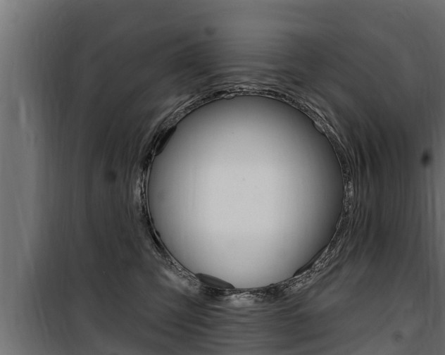 X0000100780423200806191021