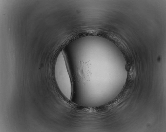 X0000100780424200806191021