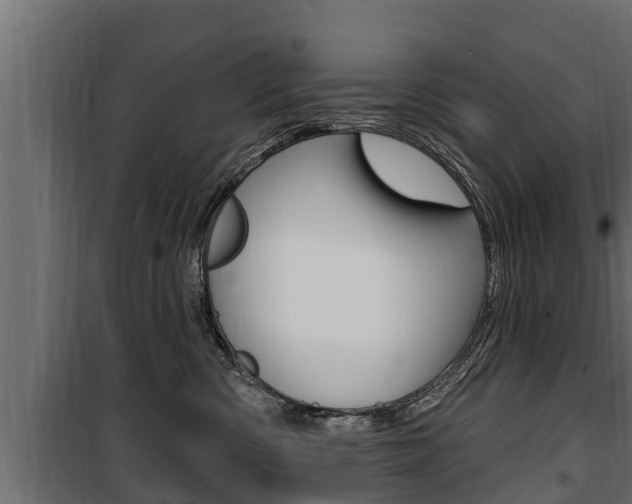 X0000100780426200806191021