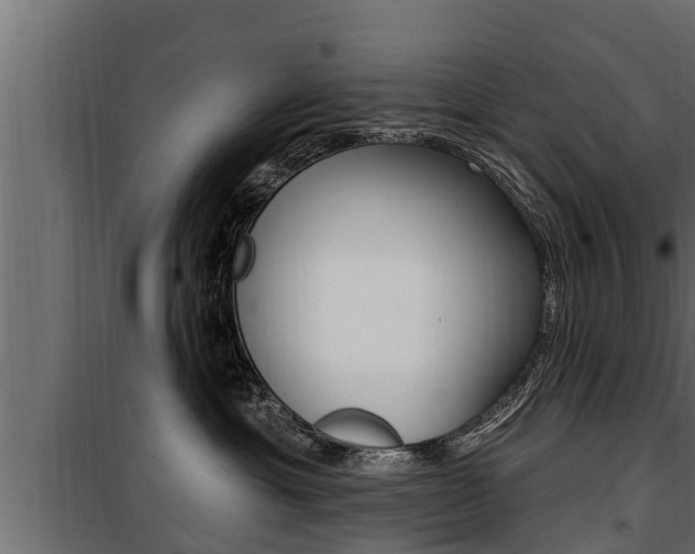 X0000100780429200806191021