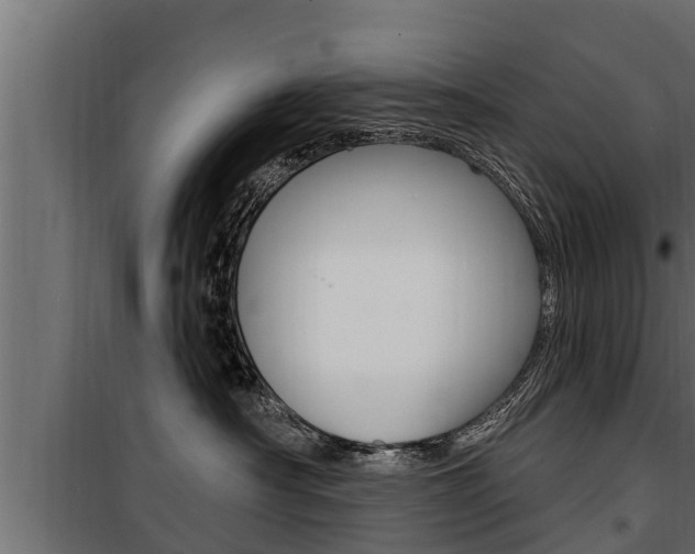 X0000100780430200806191021