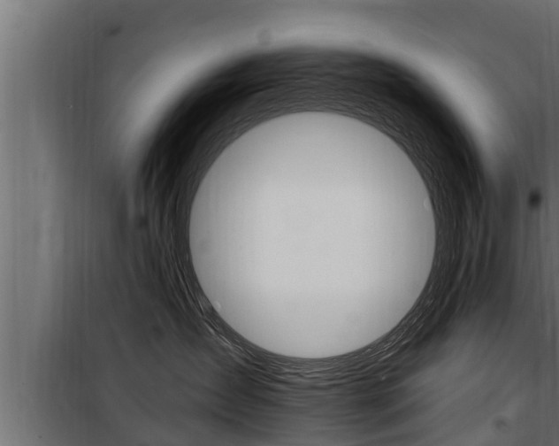 X0000100780431200806191021