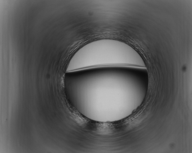 X0000100780432200806191021