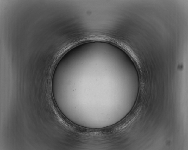 X0000100780433200806191020